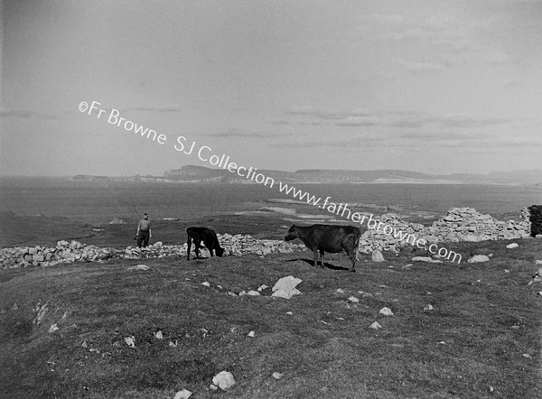 BENWEE HEAD FROM ERRIS HEAD